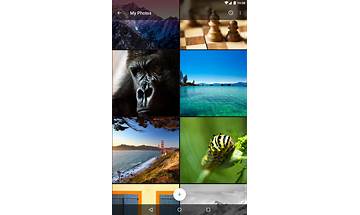 Muzei Live Wallpaper for Android - Download the APK from Habererciyes